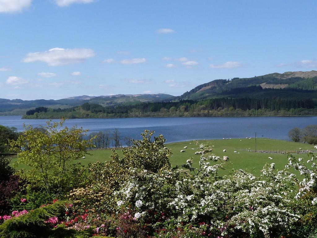 Blarghour Farm Cottages Overlooking Loch Awe Ardchonnell Buitenkant foto